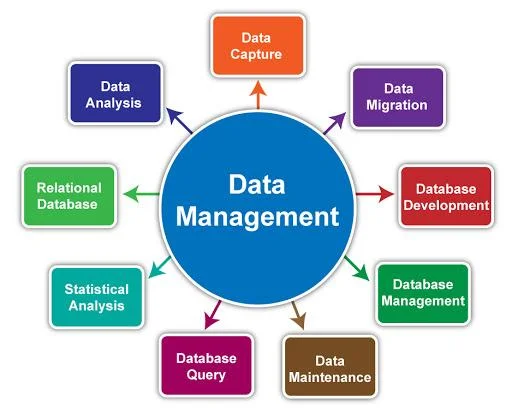 big data management